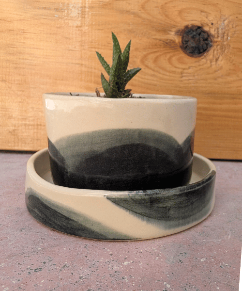 Maceta pequeña para interior Librada 🌱