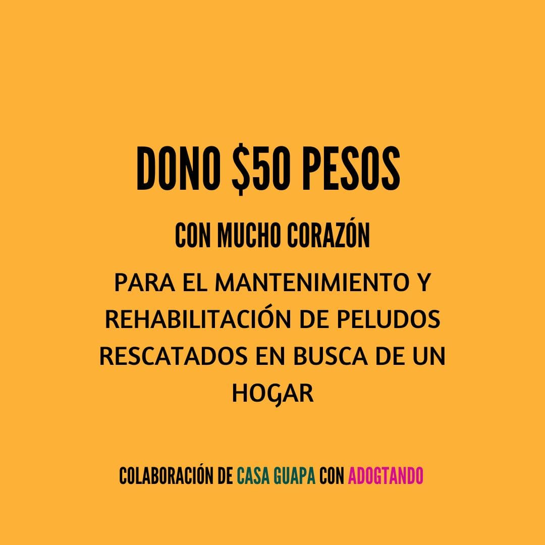 Adogtando Donation