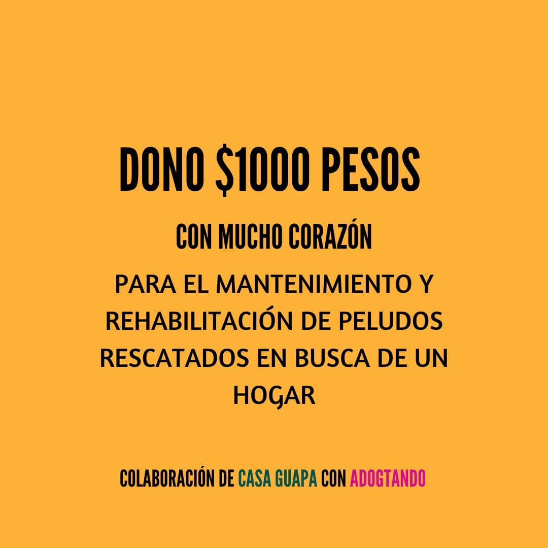 Adogtando Donation